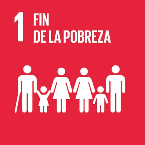 S_SDG_Icons-01-01